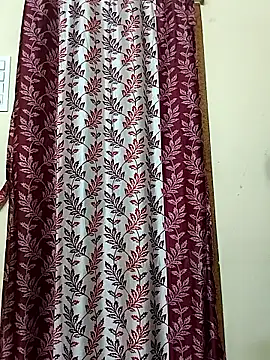 Indian Telugu Indhu online show from April 2026 02:47:02 AM