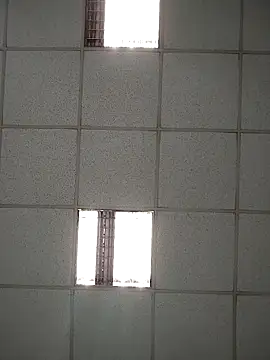 platone09 online show from April 2026 02:12:02 PM