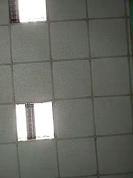 platone09 online show from April 2026 02:19:01 PM