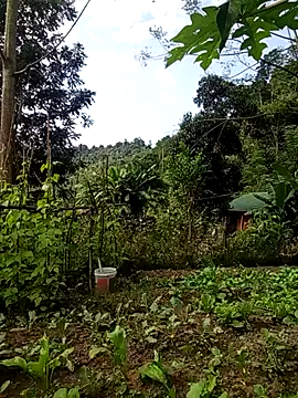 Snapshot of Rose-rose1234 chatting on November 2025 08:02:01 AM Rose-rose1234 online show from November 2025 08:02:01 AM