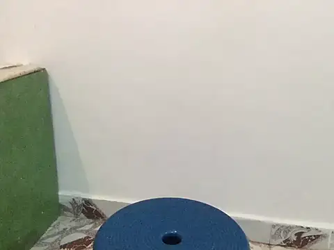 raveena hot online show from March 2026 01:26:01 PM