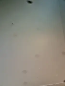 Hardwarelane67 online show from March 2026 12:09:01 PM