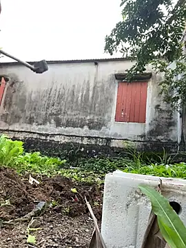 Miumiu95x online show from January 2026 09:35:02 AM