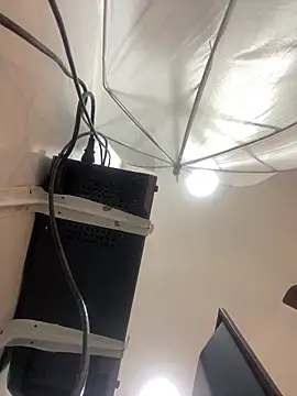 Aria Kitty online show from November 2025 11:36:02 AM