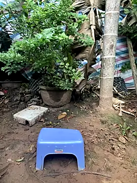 XndSeraphina online show from December 2025 09:40:01 AM