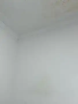  Pamela 1 online show from December 2025 02:39:01 AM