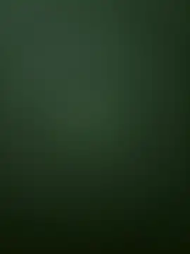 Spring-spring online show from December 2025 12:54:01 PM