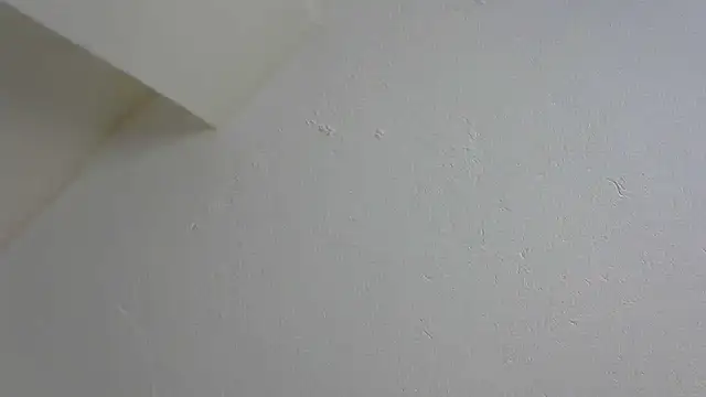 Speedo1988 online show from January 2026 07:17:01 PM