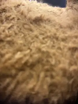 valeryfox   online show from March 2026 10:57:01 PM