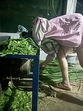 nangmo online show from March 2026 12:02:02 PM