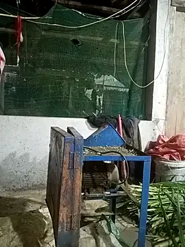 nangmo online show from March 2026 11:22:01 PM