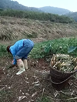 nangmo online show from March 2026 11:13:01 AM