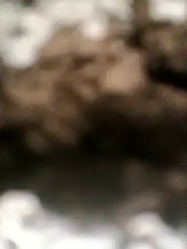 sexygosht online show from April 2026 10:52:02 AM