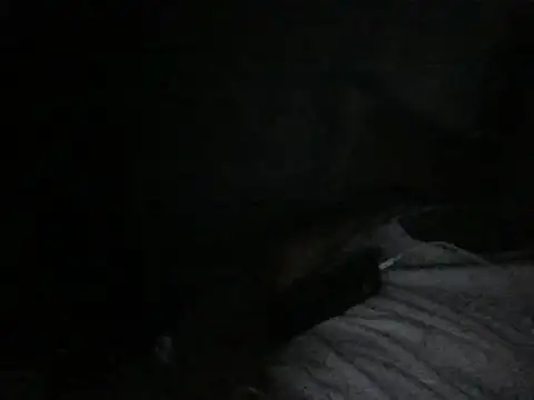 modiji 999 online show from March 2026 10:39:02 PM