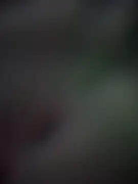 ZafiraNavarro online show from March 2026 06:30:01 PM