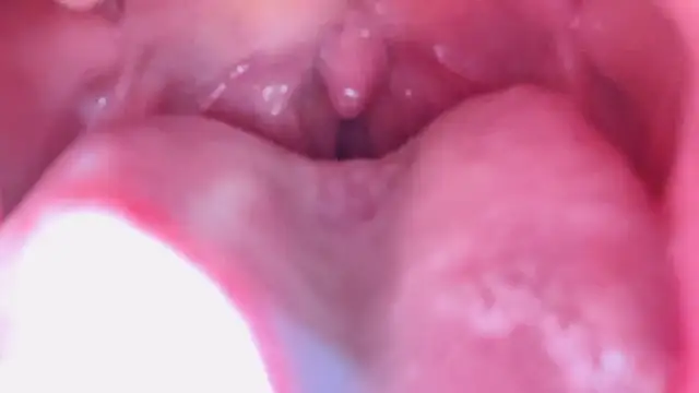 LT-333 online show from January 2026 07:17:01 PM