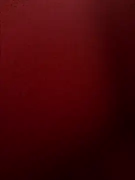 Snapshot of chriss13fc chatting on April 2026 09:02:01 AM chriss13fc online show from April 2026 09:02:01 AM