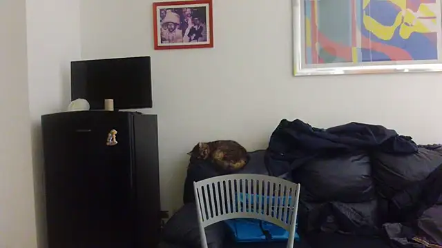 AMIRDIB2025 online show from April 2026 12:25:02 AM