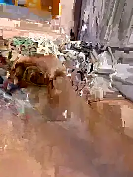 en93000 online show from April 2026 05:41:01 AM