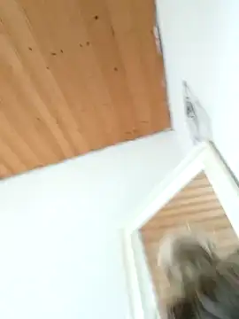 Milas Dreams OF online show from December 2025 08:40:02 AM