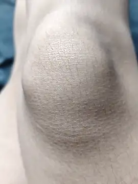 Miky Lyn online show from February 2026 05:53:02 PM