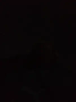 Andreskelly online show from April 2026 12:35:01 AM