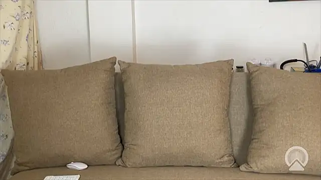 velvetvista online show from January 2026 04:16:01 AM