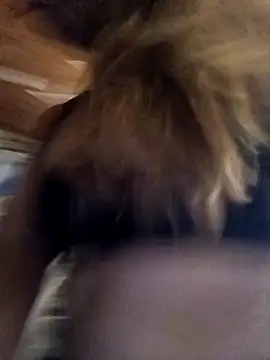 cari75 online show from February 2026 02:53:01 AM