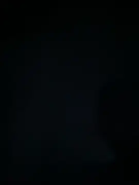 marcoboss online show from December 2025 03:30:02 PM