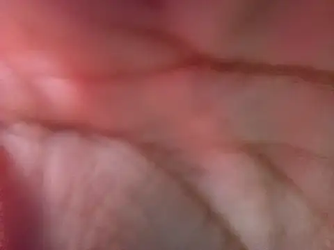 LolilolsAdj online show from March 2026 12:27:02 AM