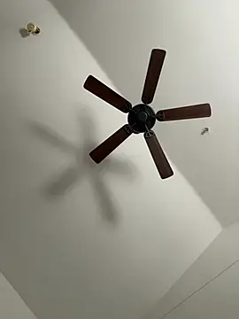 faces818 online show from March 2026 05:16:02 PM