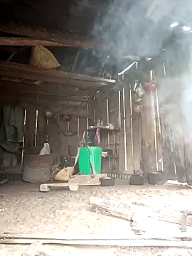 Andrea-688 online show from April 2026 04:49:02 AM