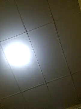 thebruvisacoolsoul online show from December 2025 01:56:02 AM