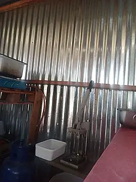 thabisozxz online show from July 2026 01:36:02 PM