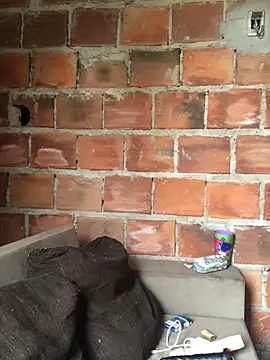 Geelalmeida online show from April 2026 10:46:01 AM