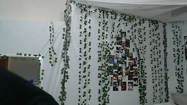 DeerMiracle online show from January 2026 04:04:01 AM