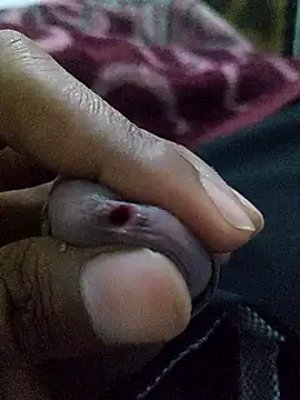 padosi girl online show from February 2026 05:38:02 PM