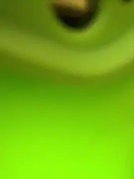 Snapshot of Kacaah chatting on February 2026 05:46:02 PM Kacaah online show from February 2026 05:46:02 PM