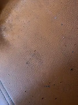 solecito sex  online show from June 2026 04:42:02 PM
