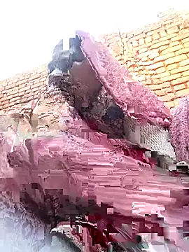 Rakhi cut online show from January 2026 02:39:01 AM