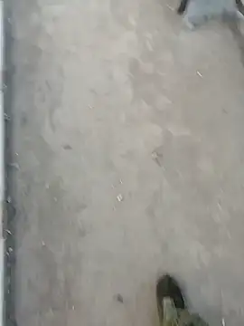 Tata and Joker online show from March 2026 03:28:01 PM