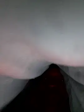 elitecb online show from January 2026 12:44:02 PM