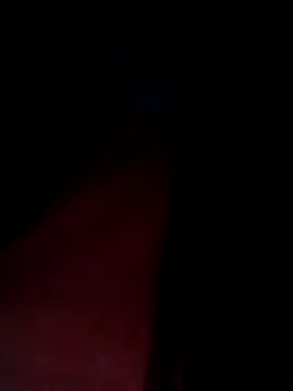 congchua977 online show from February 2026 11:20:02 PM