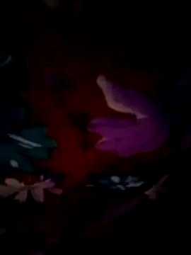 ramya sri online show from February 2026 09:21:02 AM