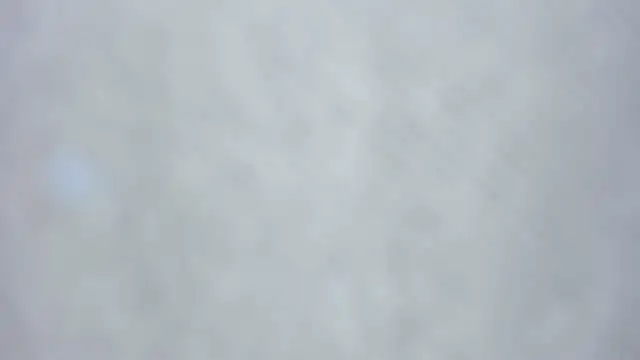 kiyoko yun online show from April 2026 07:39:01 AM