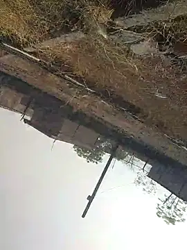 sexyboy 917 online show from April 2026 03:20:02 AM