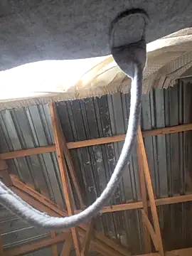 Sihle Plays online show from March 2026 11:40:01 AM