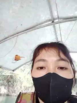 Asami 6868 online show from January 2026 03:10:02 AM