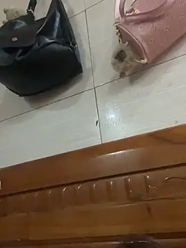 Liness101 online show from February 2026 12:05:02 AM