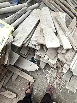 Pagelboy 089 online show from February 2026 04:20:01 AM